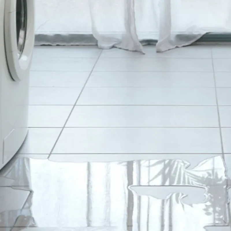 Appliance Leak Cleanup in Yellowstone County, MT
