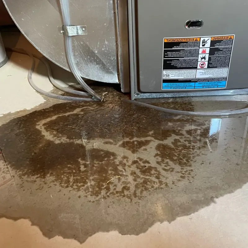 Pipe Burst and Leak Restoration in Yellowstone County, MT