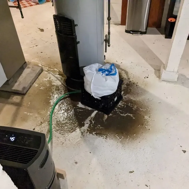 Sewage Backup Cleanup Service in Yellowstone County, MT